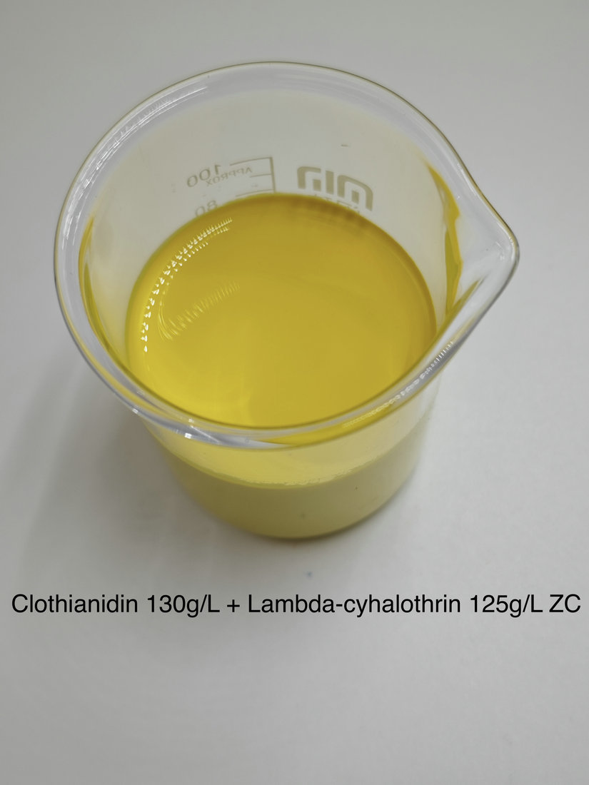 Clothianidin 130g/L + Lambda-cyhalothrin 125g/L ZC